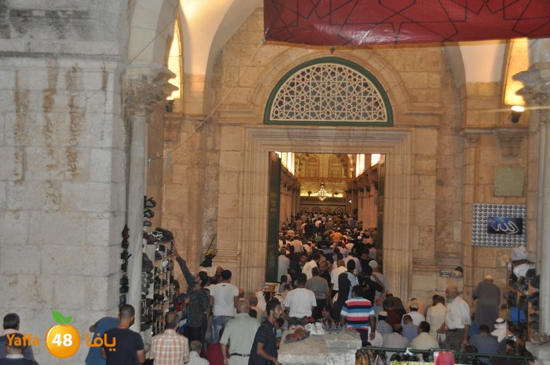 lud trawer7 aqsa 805 (8).JPG